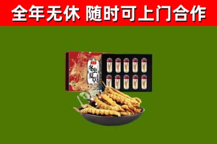 松滋市烟酒回收冬虫夏草礼盒.jpg
