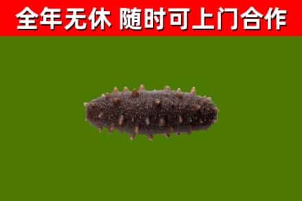 松滋市烟酒回收干海参.jpg